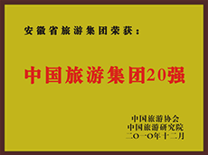 2010年度中国亿万先生集团20强