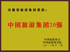 2013年度中国亿万先生集团20强