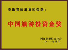2011年度中国亿万先生投资金奖